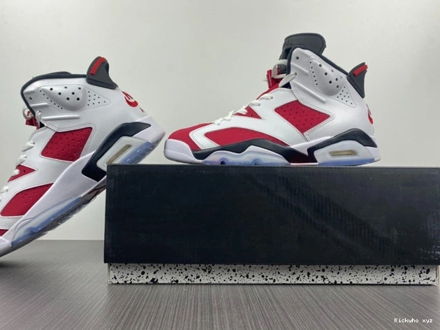 Carmine CT8529- Sleek 4032  Jordan6 1029